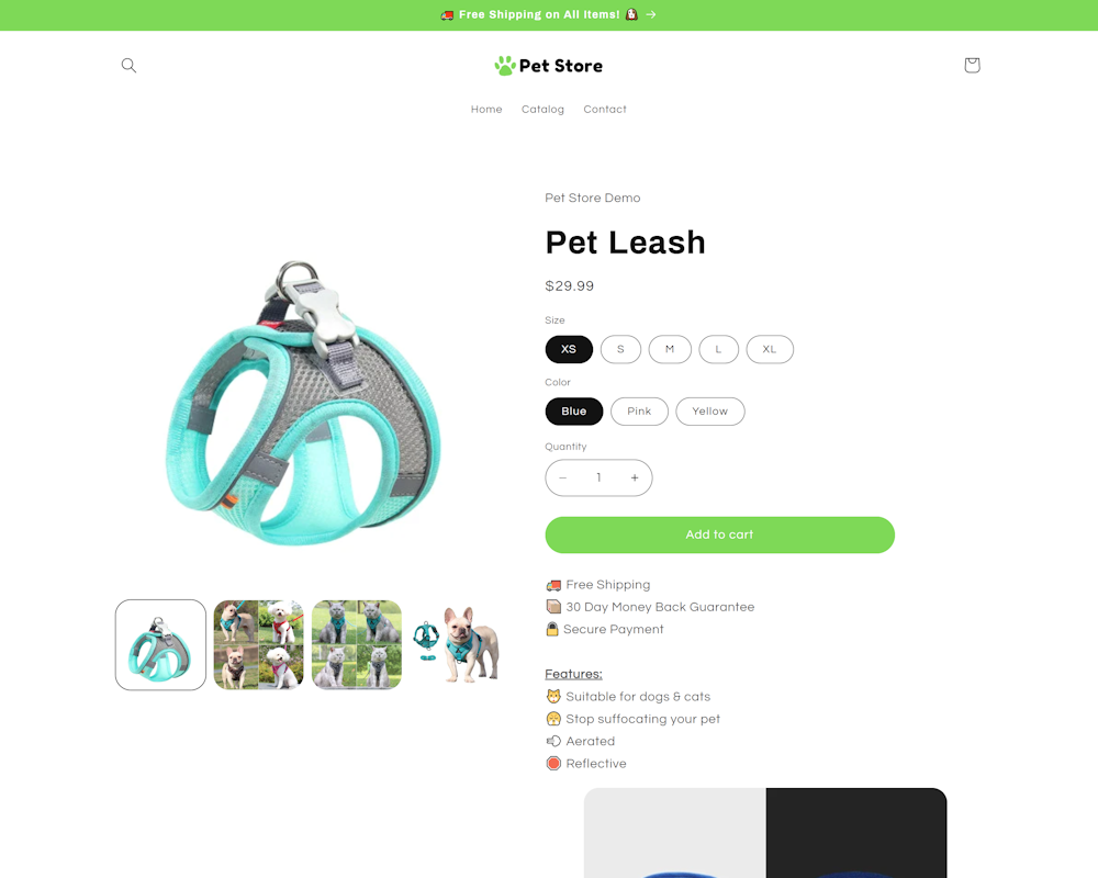 screenshot of the Product Page of this demo website